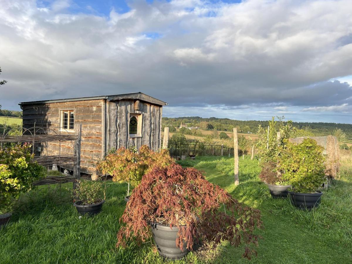 Вилла Luxury Shepherd'S Hut Style Cabin With Views Херефорд Экстерьер фото